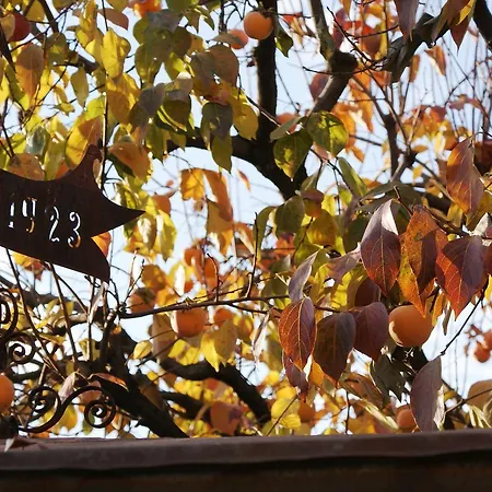 Bed & Breakfast Nella Terra Di Mezzo Caporiacco