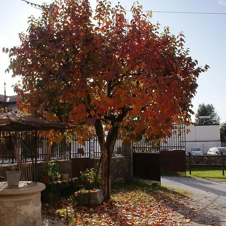 Nella Terra Di Mezzo Bed & Breakfast Caporiacco